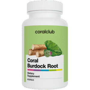 Корень лопуха